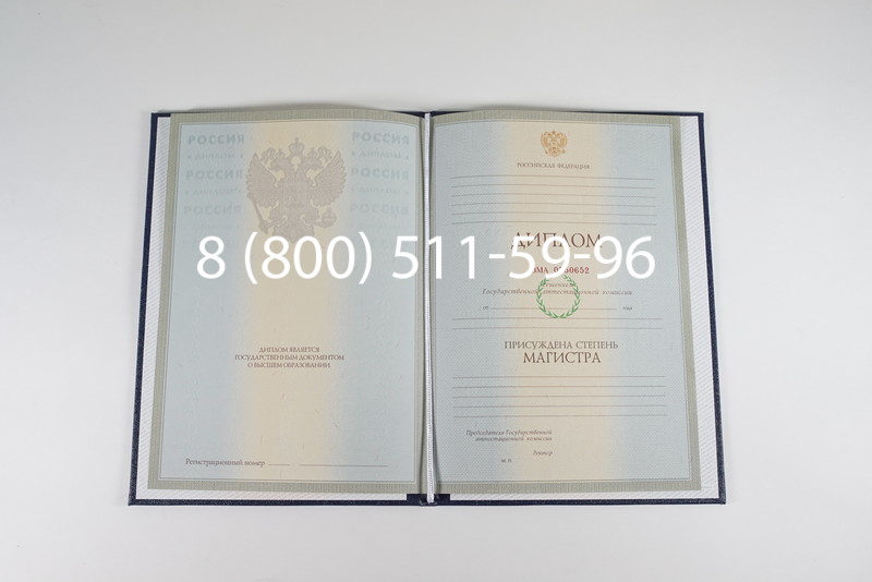 Диплом магистра 2003-2009 годов в Воронеже