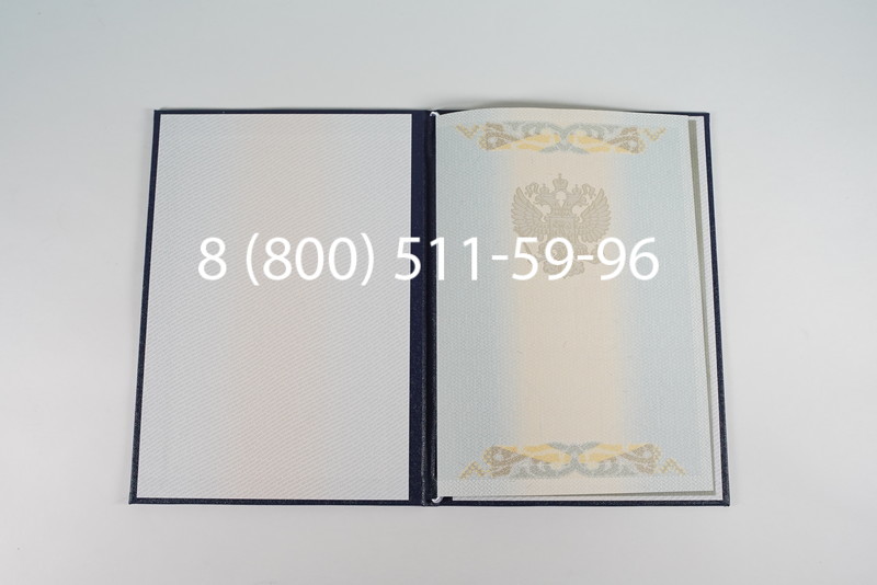 Диплом магистра 2003-2009 годов в Воронеже