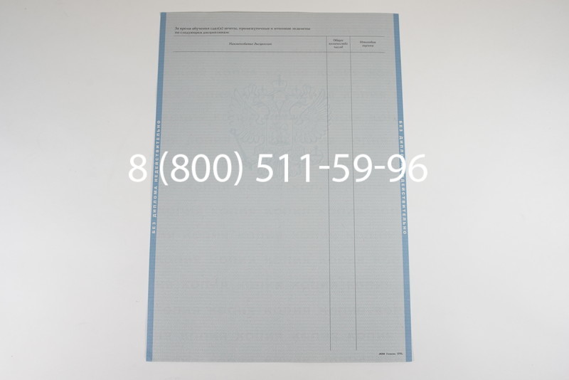 Диплом магистра 2003-2009 годов в Воронеже