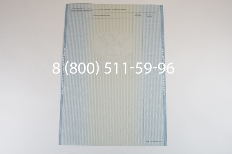 Диплом магистра 2012-2013 годов в Воронеже