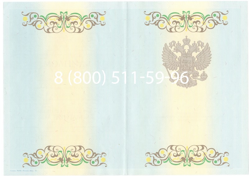 Заказать Диплом магистра 2012-2013 годов в Воронеже