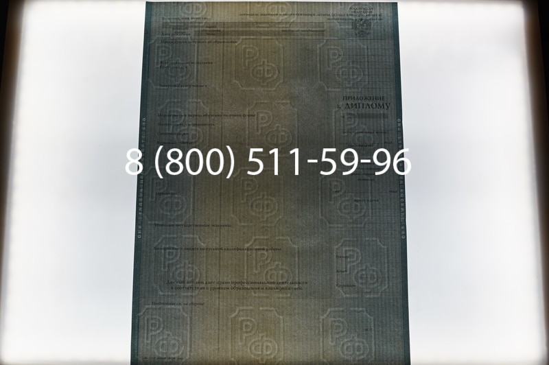 Заказать Диплом магистра 2012-2013 годов в Воронеже