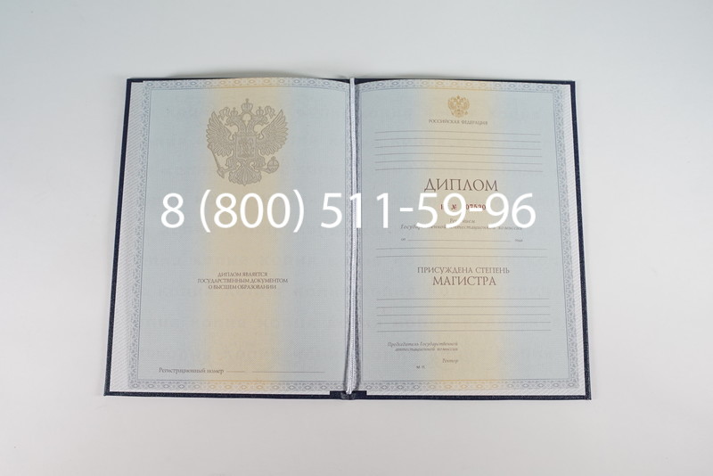 Диплом магистра 2012-2013 годов в Воронеже