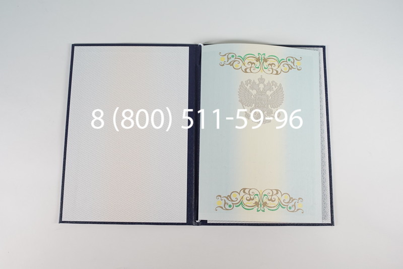 Диплом магистра 2012-2013 годов в Воронеже