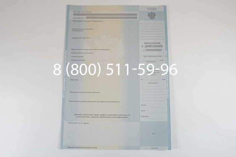 Диплом магистра 2012-2013 годов в Воронеже