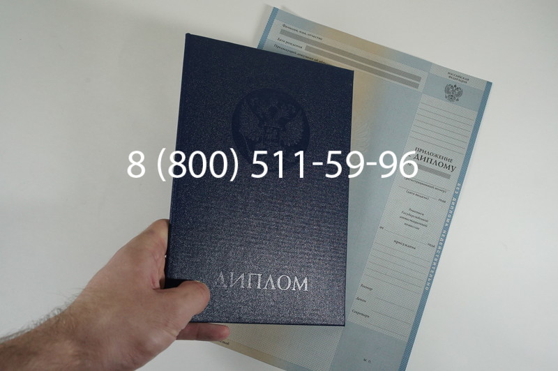 Диплом магистра 2010-2011 годов в Воронеже