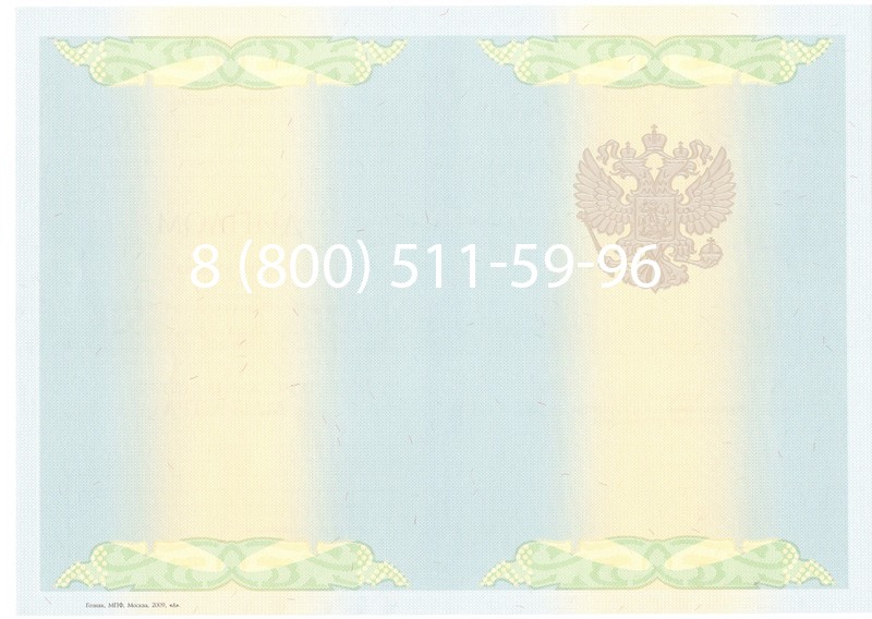 Купить Диплом магистра 2010-2011 годов в Воронеже