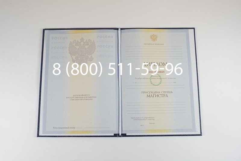 Диплом магистра 2010-2011 годов в Воронеже