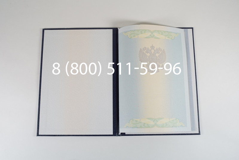 Диплом магистра 2010-2011 годов в Воронеже