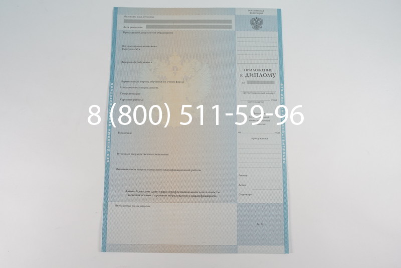 Диплом магистра 2010-2011 годов в Воронеже