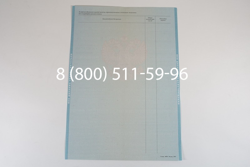 Диплом магистра 2010-2011 годов в Воронеже