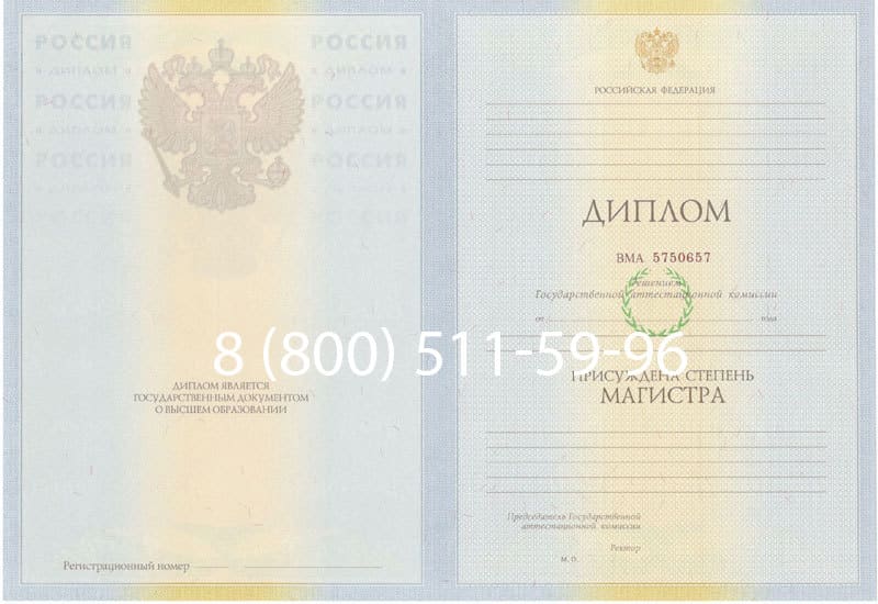 Купить Диплом магистра 2010-2011 годов в Воронеже