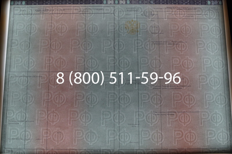 Заказать Диплом о высшем образовании 2014-2026 годов в Воронеже