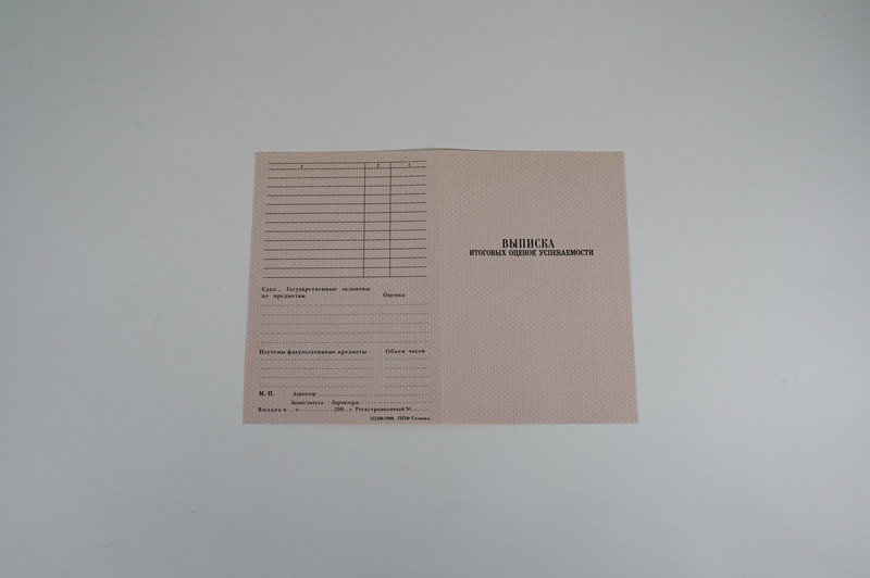 Диплом о начальном образовании 1995-2006 годов в Воронеже