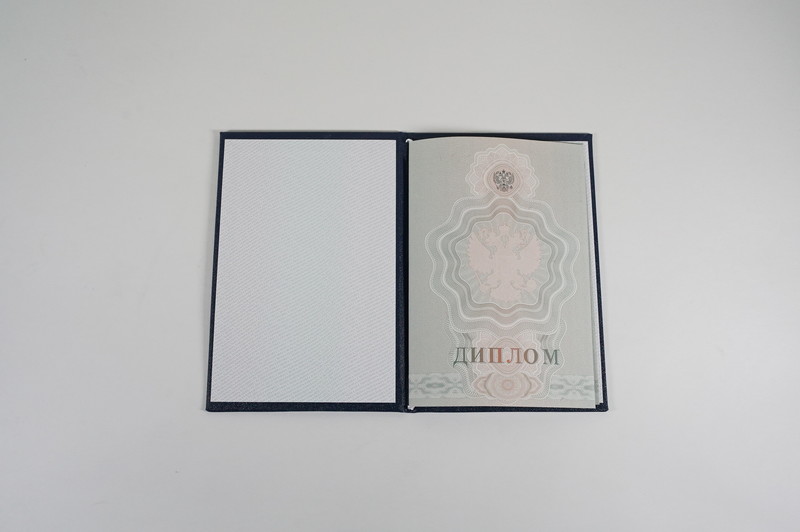 Диплом о начальном образовании  2007-2009 годов в Воронеже