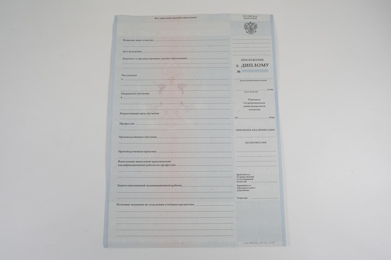 Диплом о начальном образовании  2007-2009 годов в Воронеже