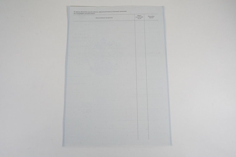 Диплом о начальном образовании  2007-2009 годов в Воронеже