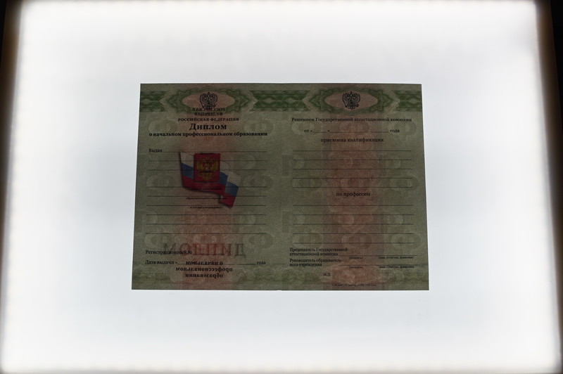 Заказать Диплом о начальном образовании  2010-2026 годов в Воронеже