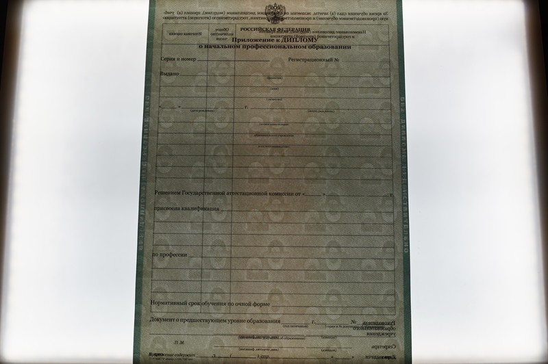 Заказать Диплом о начальном образовании  2010-2026 годов в Воронеже