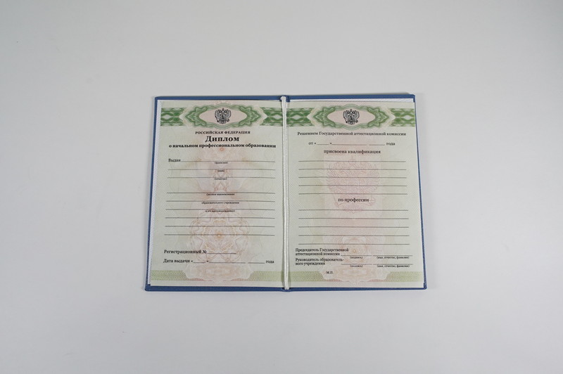 Диплом о начальном образовании  2010-2026 годов в Воронеже