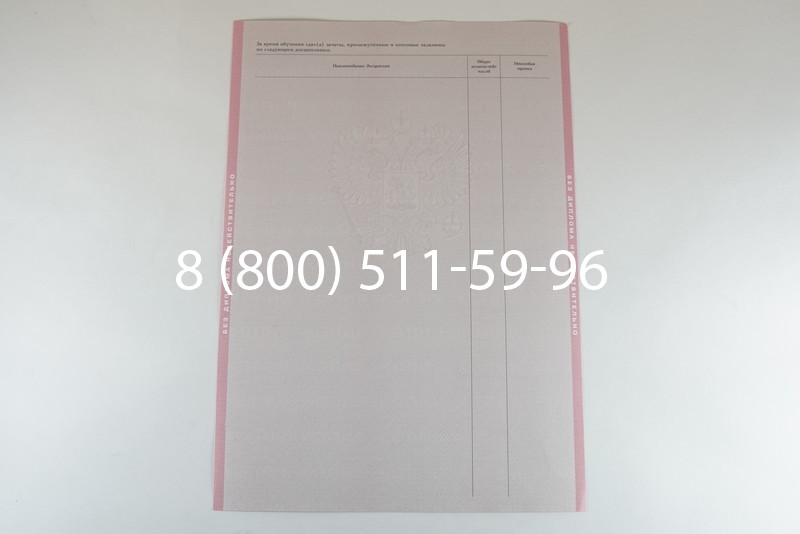 Диплом о среднем образовании 2003-2006 годов в Воронеже