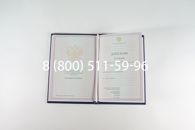 Диплом о среднем образовании 2003-2006 годов в Воронеже