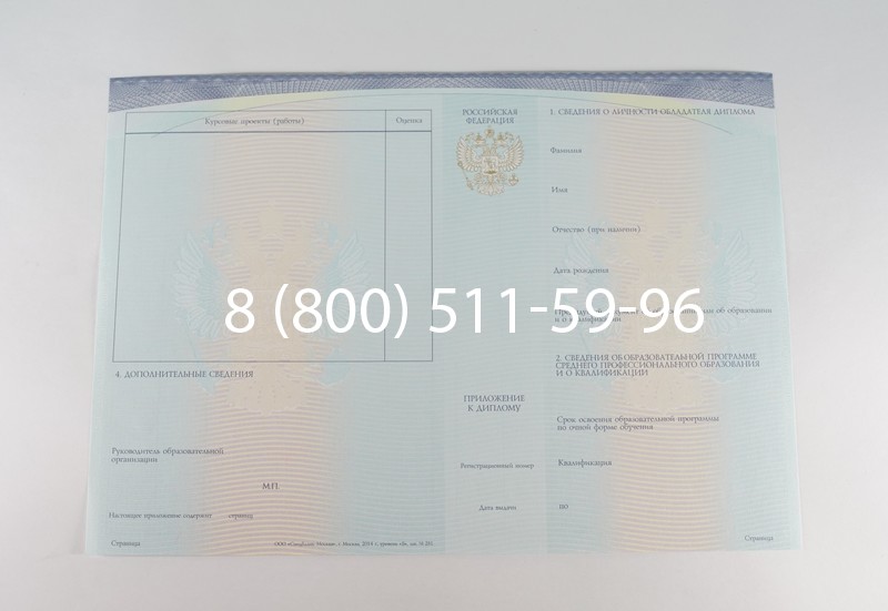 Диплом о среднем образовании (Спецбланк) 2014-2026 года в Воронеже