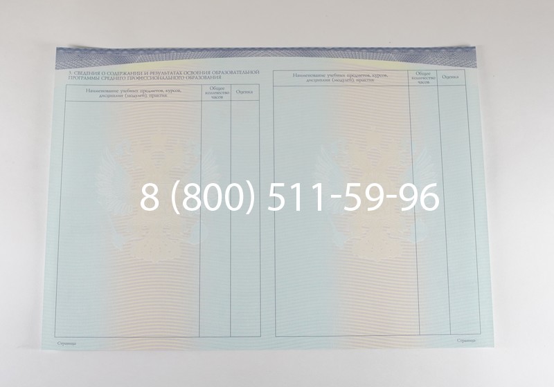 Диплом о среднем образовании (Спецбланк) 2014-2026 года в Воронеже