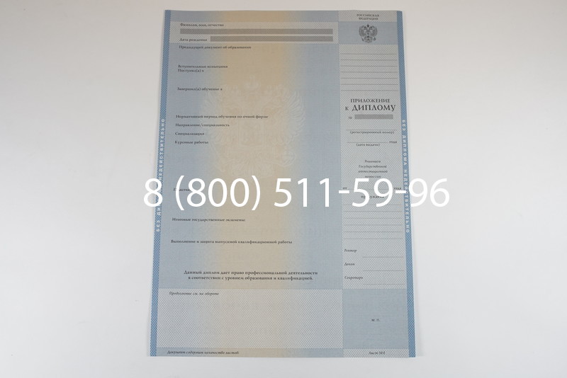 Диплом о высшем образовании 1997-2002 годов в Воронеже