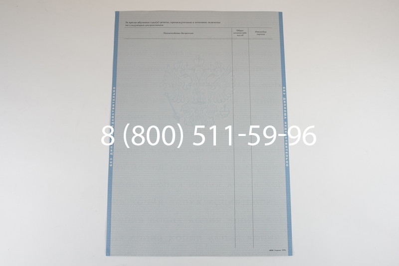 Диплом о высшем образовании 1997-2002 годов в Воронеже