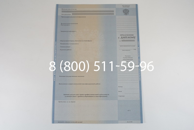 Диплом о высшем образовании 2003-2009 годов в Воронеже