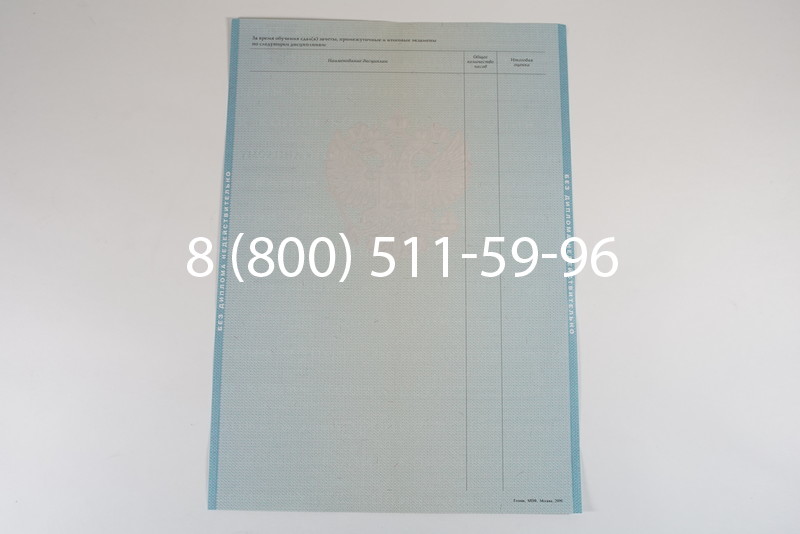 Диплом о высшем образовании 2010-2011 годов в Воронеже