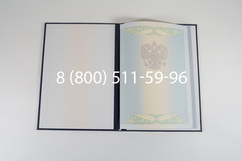 Диплом о высшем образовании 2010-2011 годов в Воронеже
