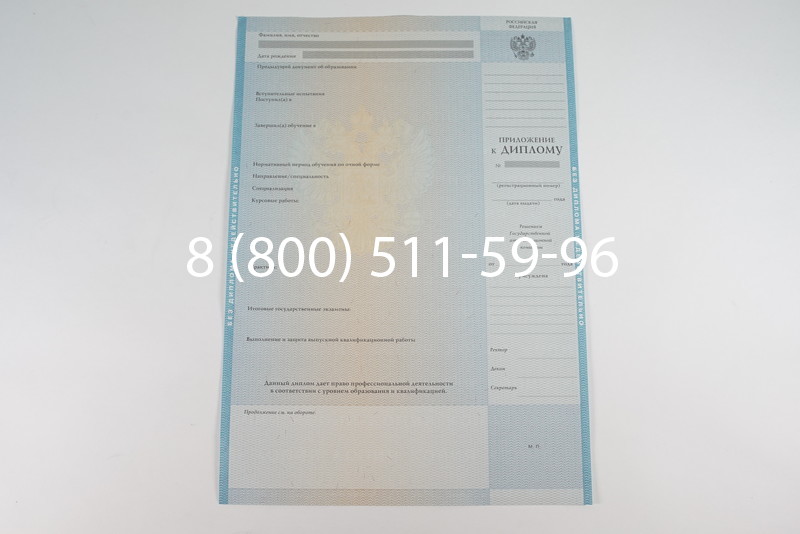 Диплом о высшем образовании 2010-2011 годов в Воронеже