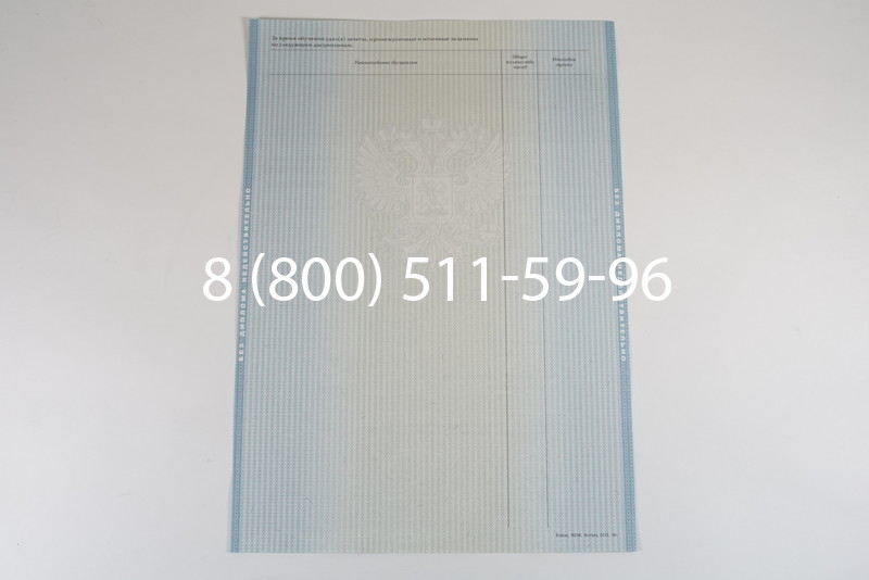 Диплом о высшем образовании 2012-2013 годов в Воронеже