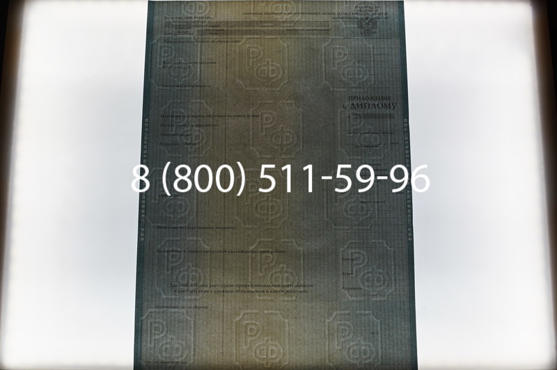 Заказать Диплом о высшем образовании 2012-2013 годов в Воронеже