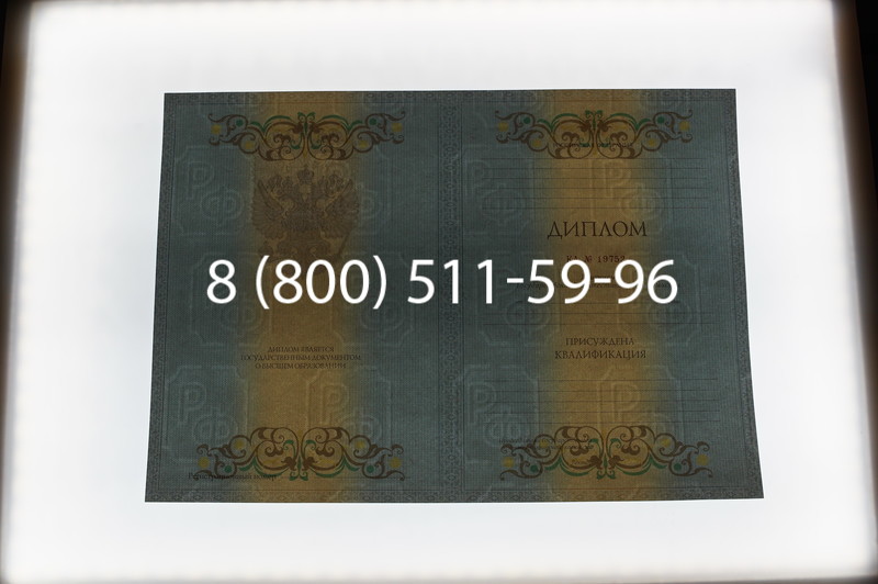 Заказать Диплом о высшем образовании 2012-2013 годов в Воронеже