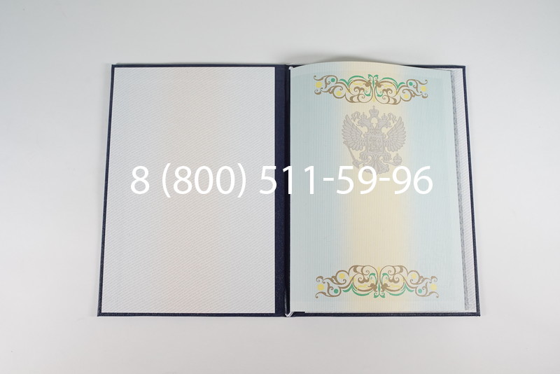 Диплом о высшем образовании 2012-2013 годов в Воронеже