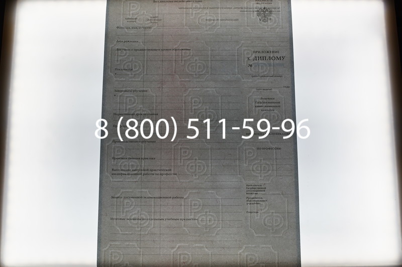 Заказать Диплом ПТУ 2007-2010 годов в Воронеже