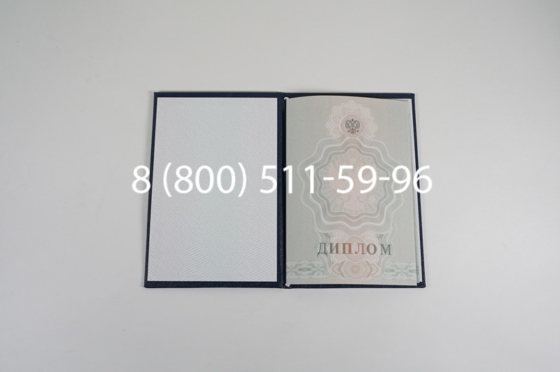 Диплом ПТУ 2007-2010 годов в Воронеже