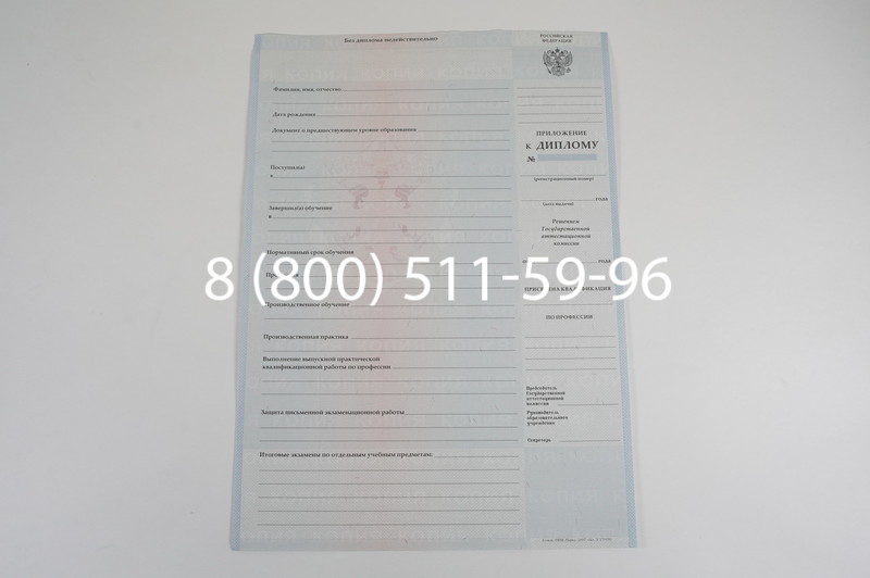 Диплом ПТУ 2007-2010 годов в Воронеже