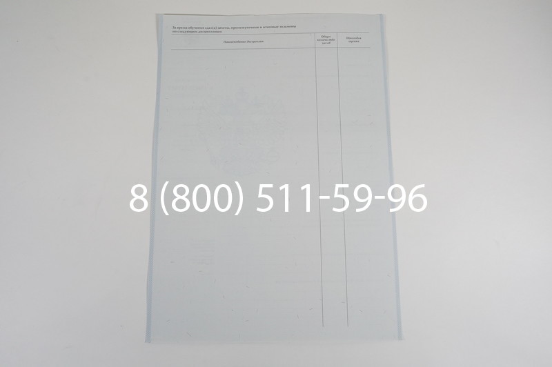 Диплом ПТУ 2007-2010 годов в Воронеже