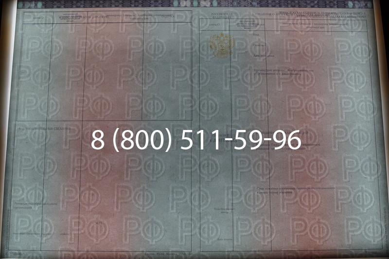 Заказать Диплом специалиста 2014-2026 года в Воронеже