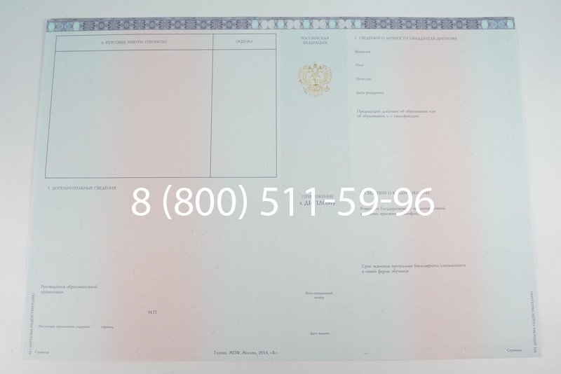 Диплом специалиста 2014-2026 года в Воронеже