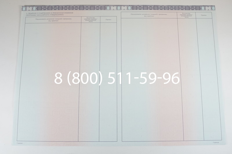 Диплом специалиста 2014-2026 года в Воронеже