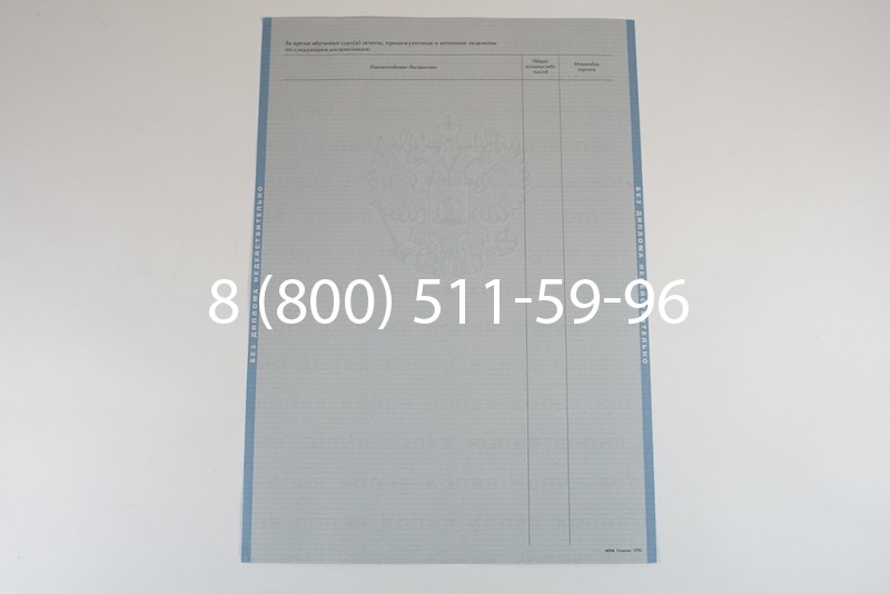 Диплом специалиста 2003-2009 годов в Воронеже