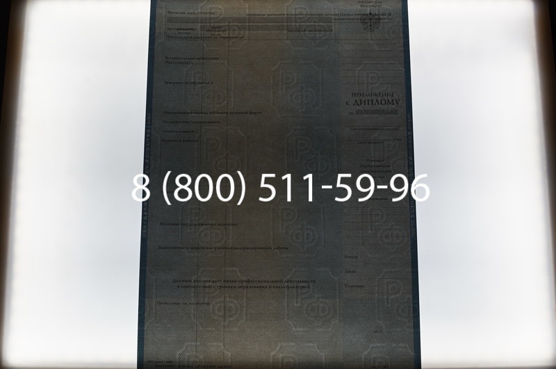 Заказать Диплом специалиста 2003-2009 годов в Воронеже