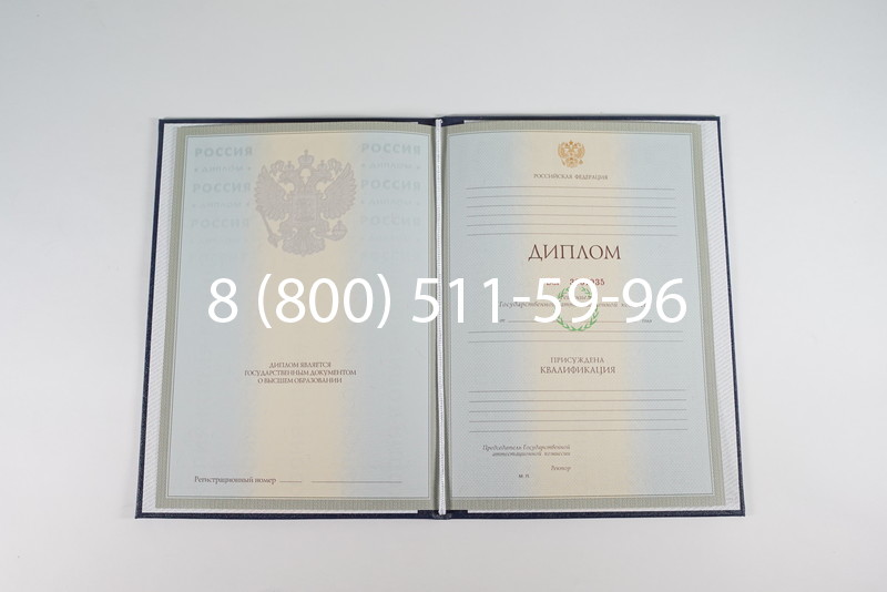 Диплом специалиста 2003-2009 годов в Воронеже