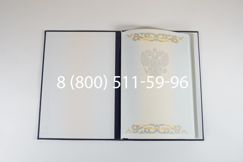 Диплом специалиста 2003-2009 годов в Воронеже