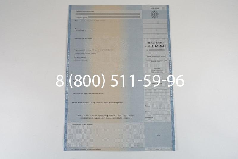 Диплом специалиста 2003-2009 годов в Воронеже